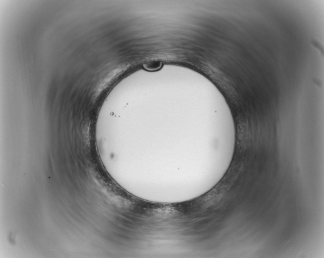 X0000101680112200807311528