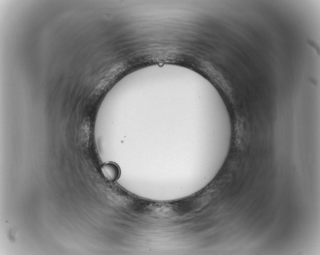 X0000101680113200807311528