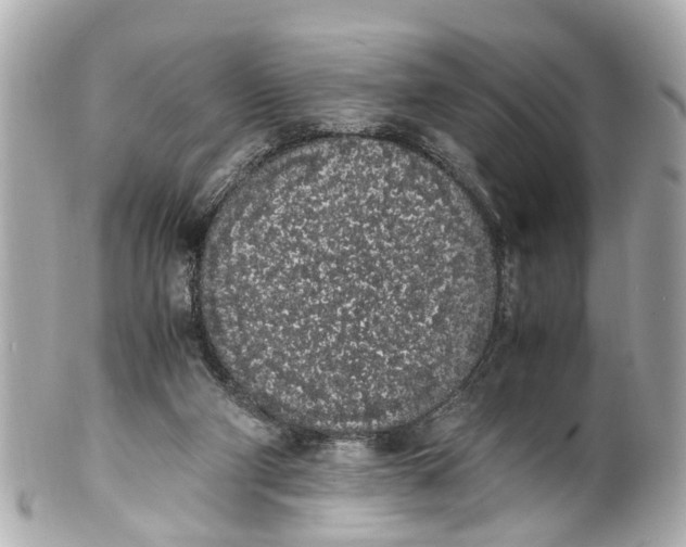 X0000101680114200807311528