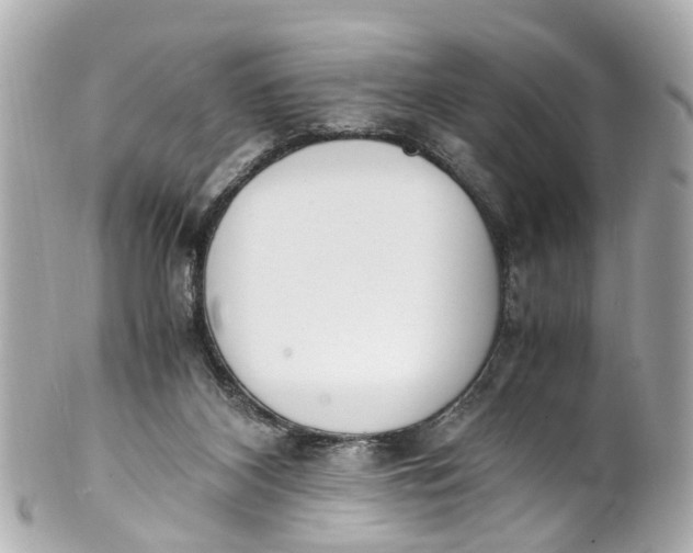 X0000101680116200807311528