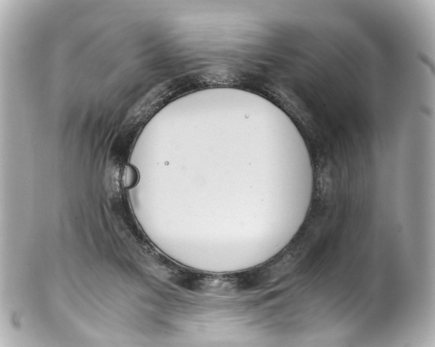 X0000101680117200807311528