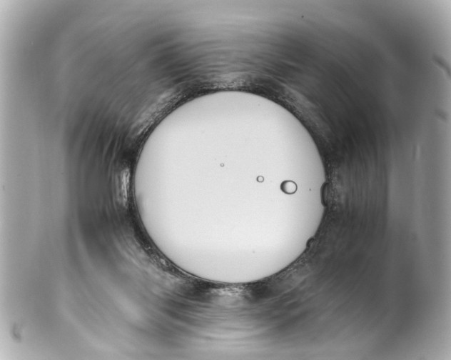 X0000101680118200807311528