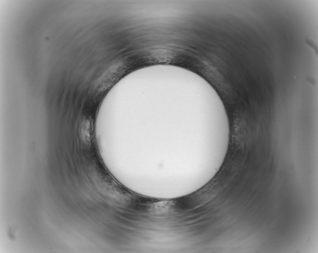 X0000101680122200807311528