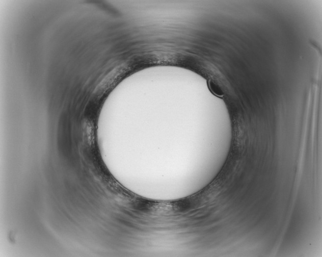 X0000101680123200807311528