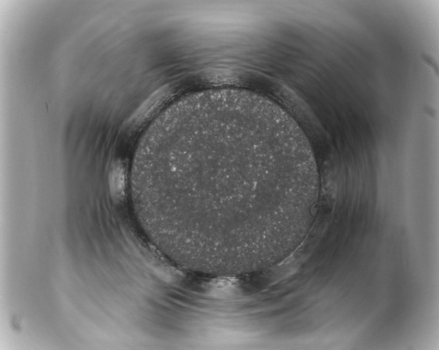 X0000101680124200807311528