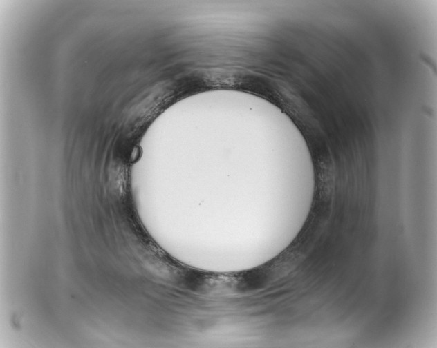 X0000101680125200807311528