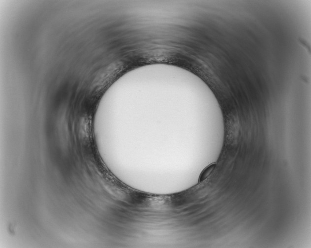 X0000101680126200807311528