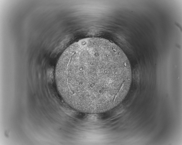 X0000101680127200807311527