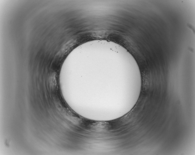 X0000101680128200807311527