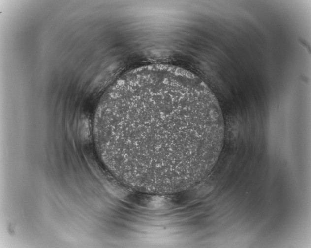 X0000101680130200807311527