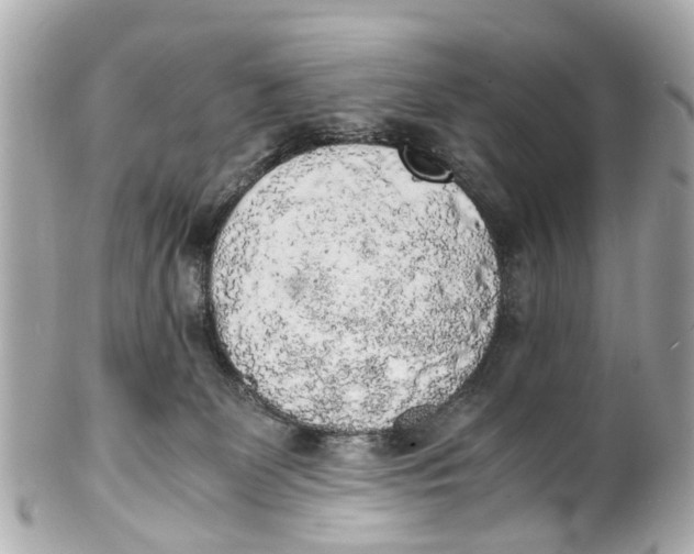 X0000101680131200807311527