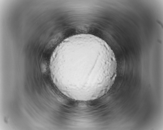 X0000101680134200807311527