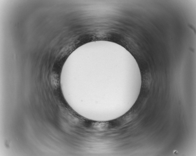 X0000101680135200807311527