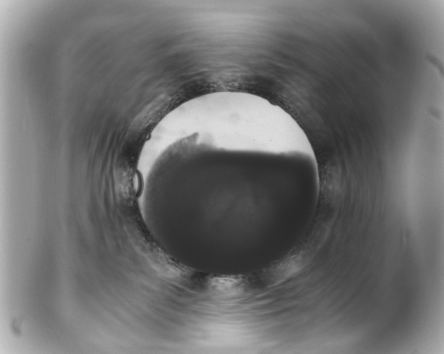 X0000101680139200807311527