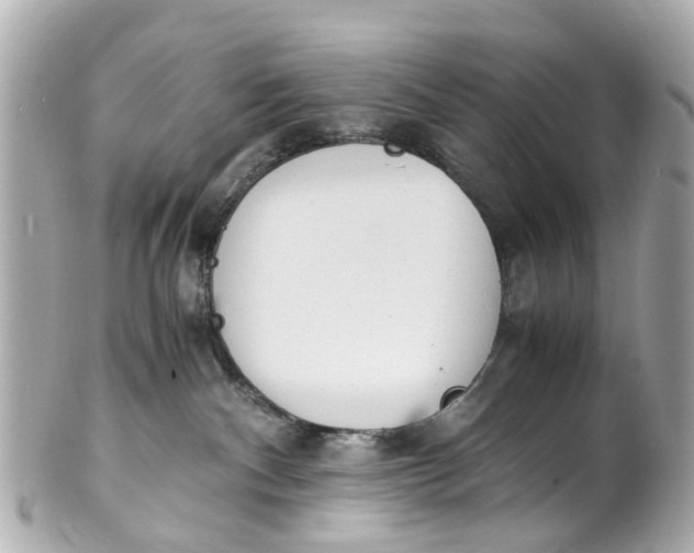 X0000101680140200807311527