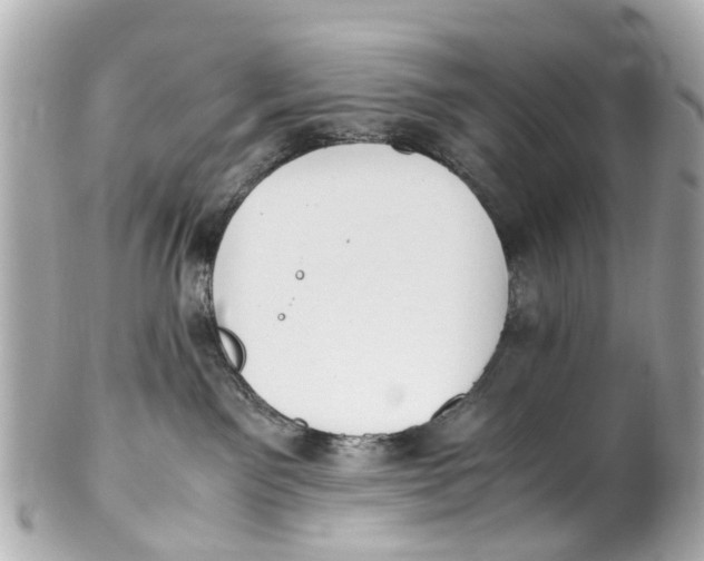 X0000101680141200807311527