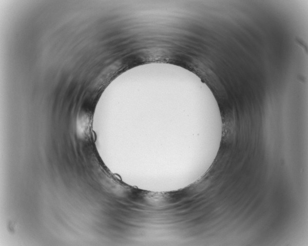 X0000101680142200807311527