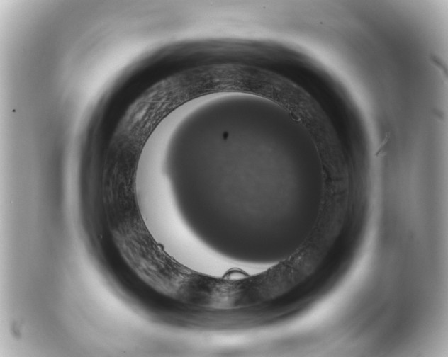 X0000101680143200807311527