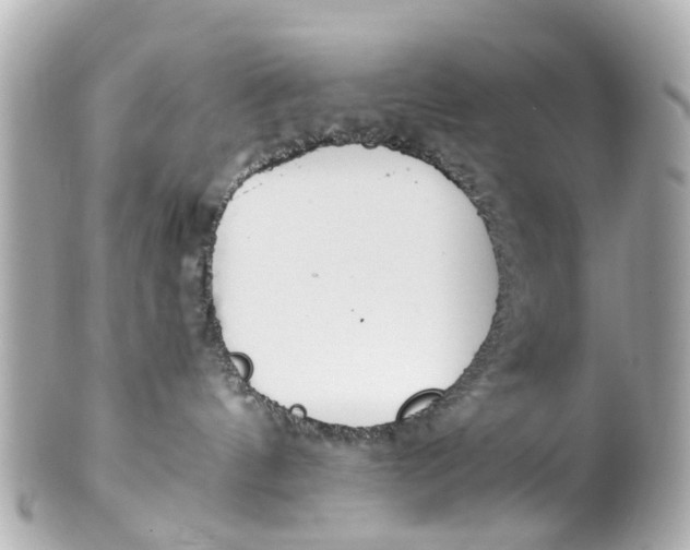 X0000101680144200807311527