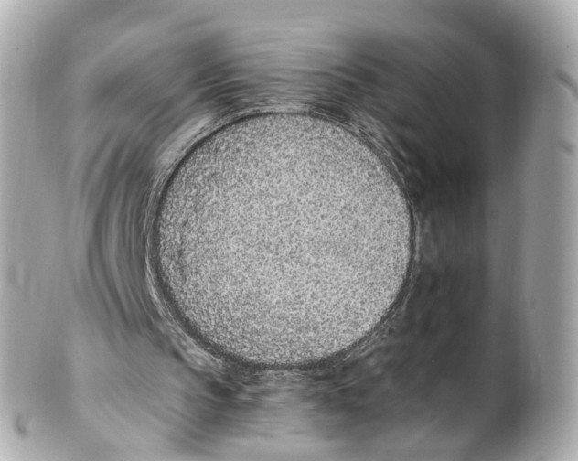 X0000101680145200807311526