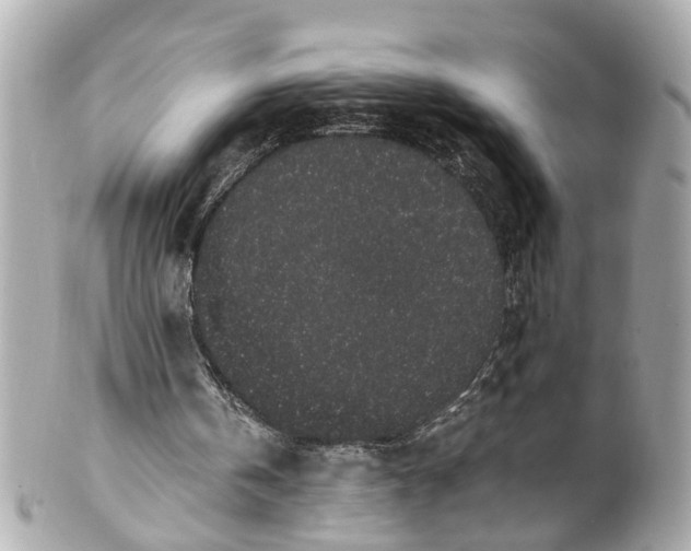 X0000101680146200807311526