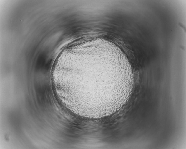 X0000101680147200807311526