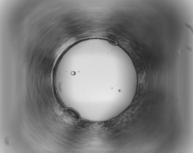 X0000101680148200807311526