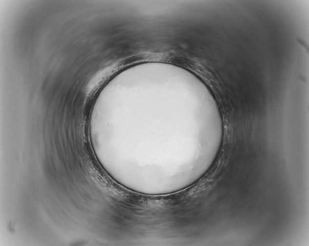 X0000101680149200807311526