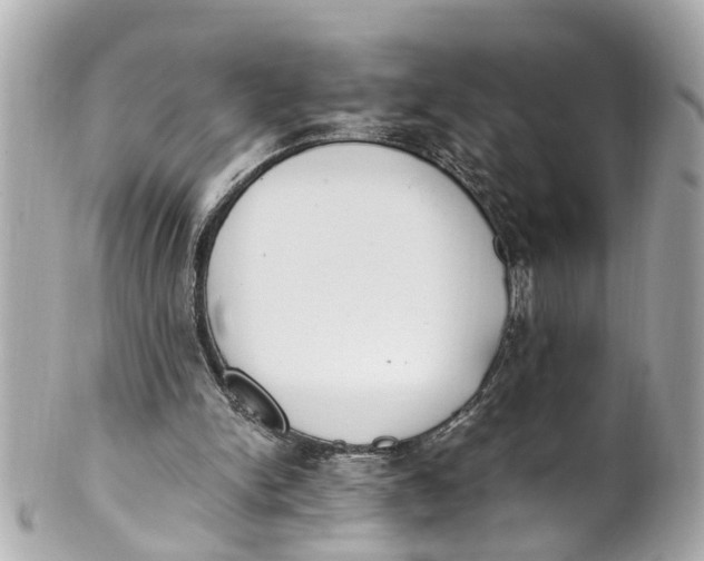 X0000101680150200807311526