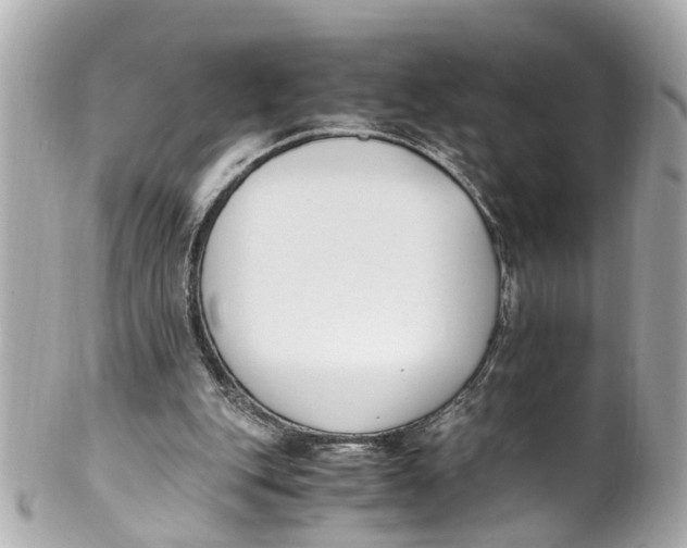 X0000101680151200807311526