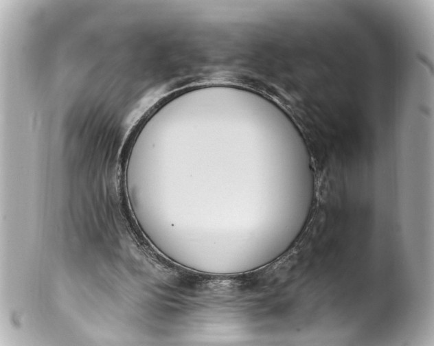 X0000101680152200807311527