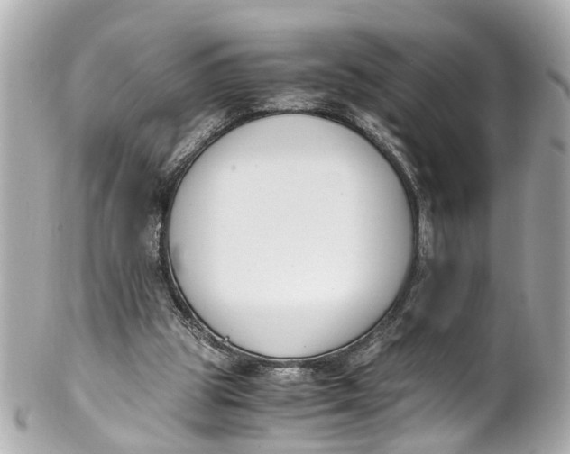 X0000101680153200807311527