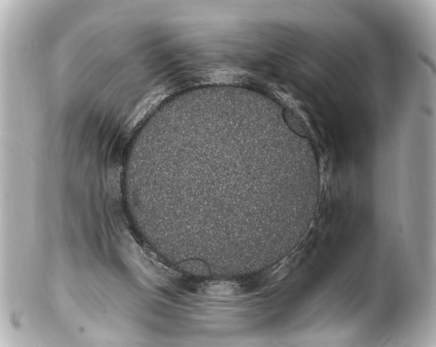 X0000101680154200807311527