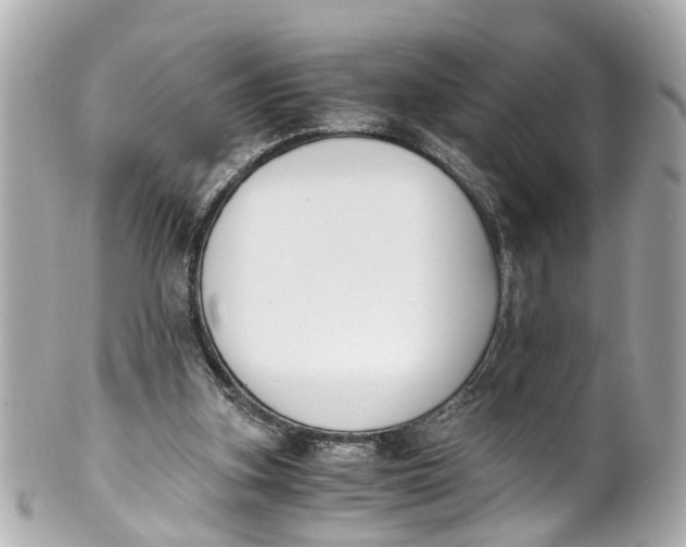 X0000101680155200807311527