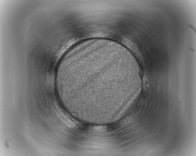 X0000101680156200807311527