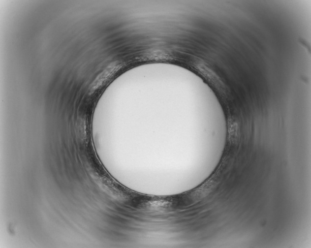 X0000101680158200807311527