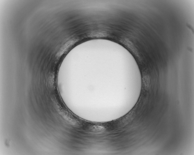 X0000101680159200807311527