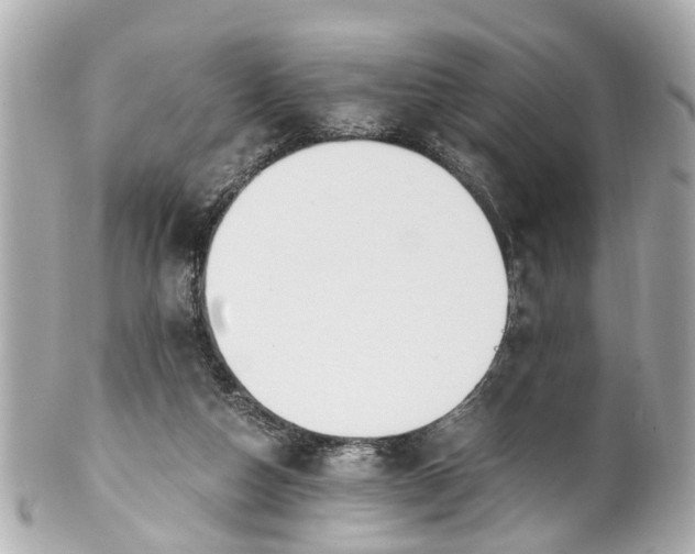 X0000101680162200807311527