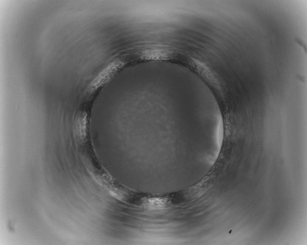 X0000101680163200807311527