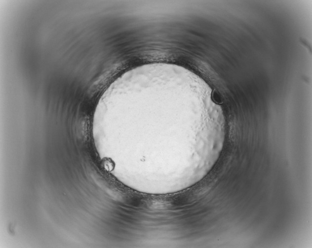 X0000101680165200807311527