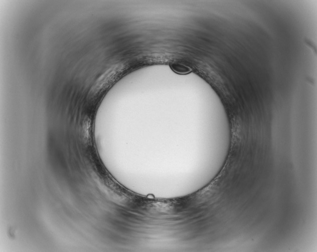 X0000101680166200807311527