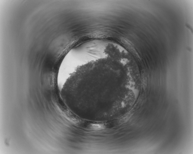 X0000101680167200807311527