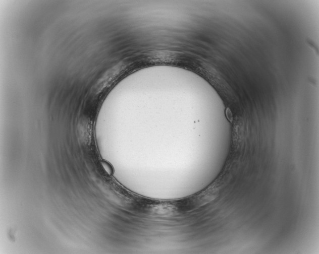 X0000101680168200807311527