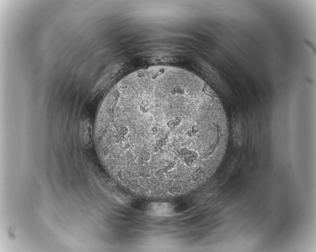 X0000101680169200807311527