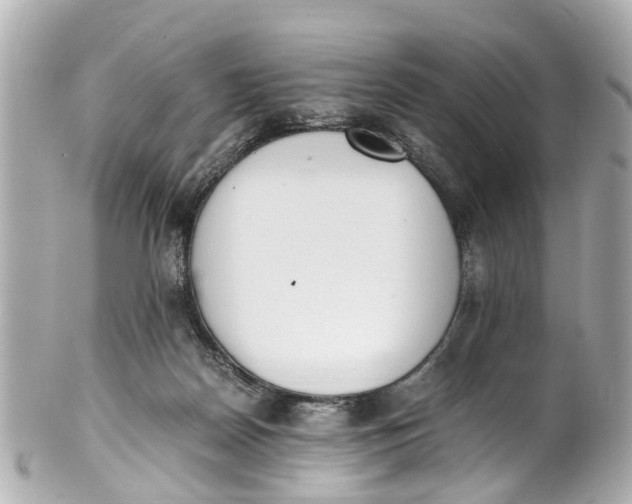 X0000101680170200807311527