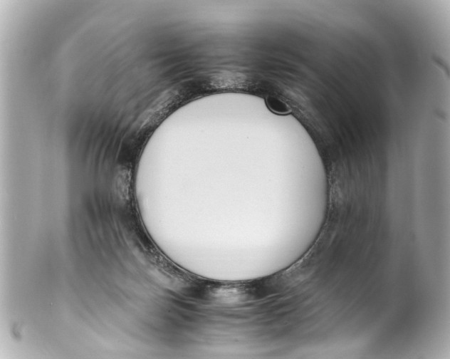 X0000101680171200807311527