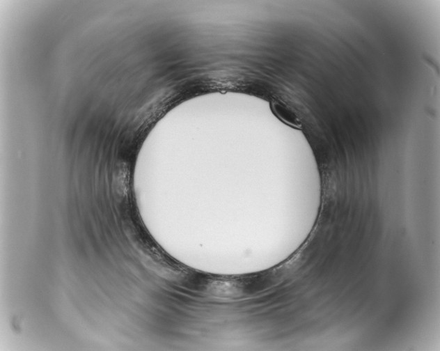 X0000101680174200807311527