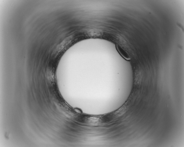 X0000101680176200807311527