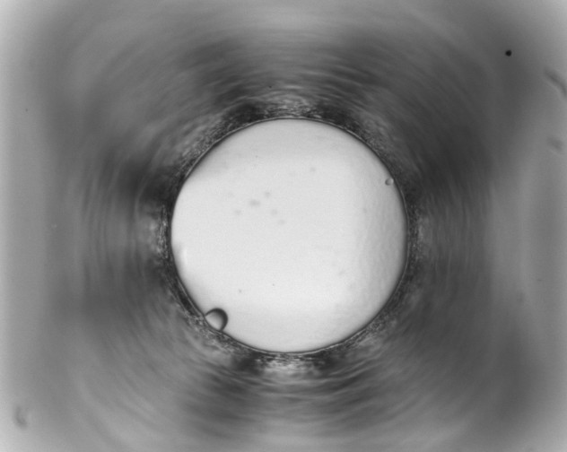 X0000101680177200807311527