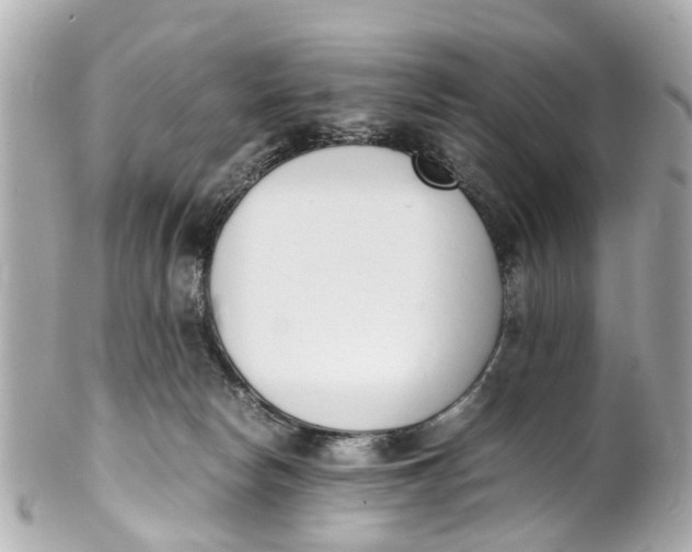 X0000101680178200807311527